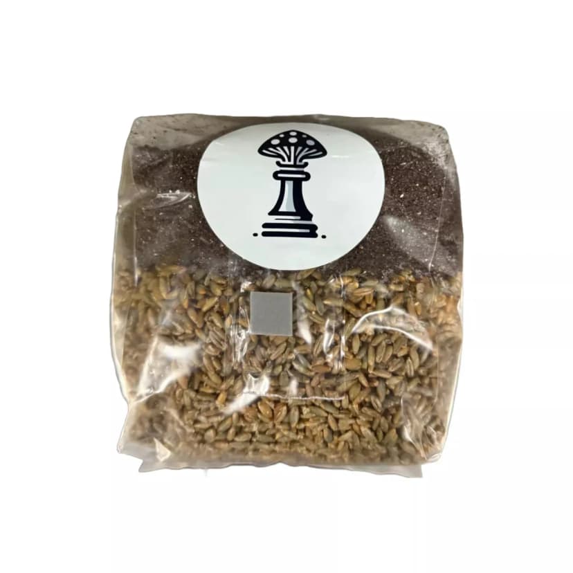 ZugzBag All-in-One Mushroom Grow Bag